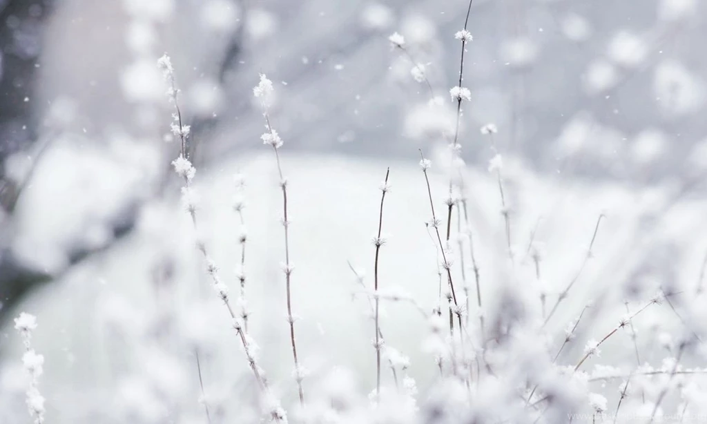 Snow HD Desktop Wallpapers : High Definition : Fullscreen : Mobile