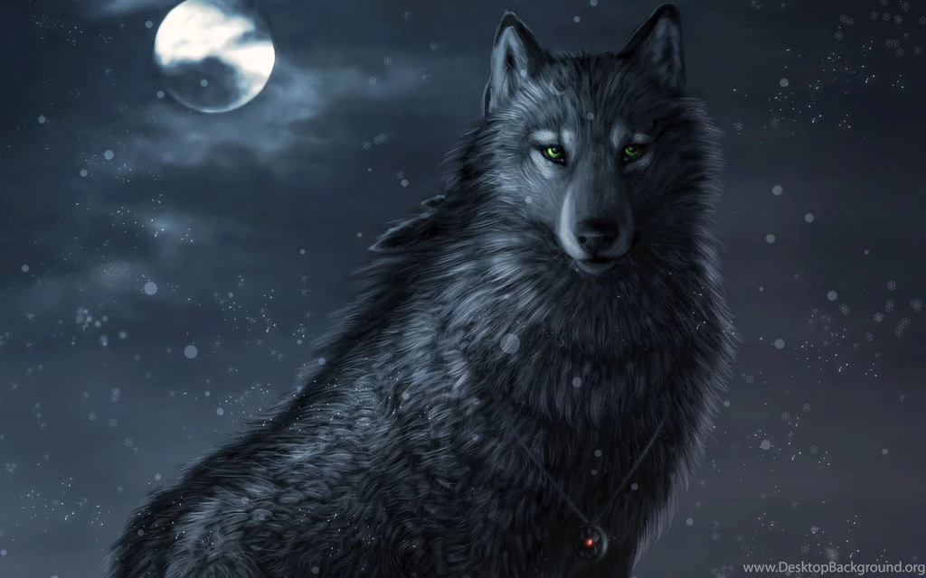 Wolf Desktop Backgrounds Pictures