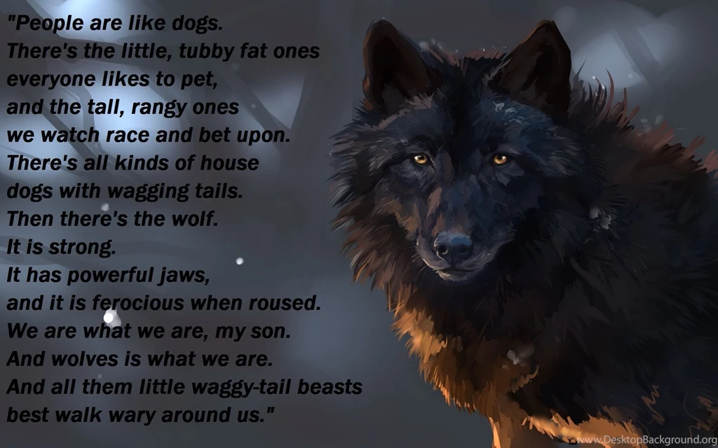 Black Wolf Desktop Backgrounds HD 1920x1200