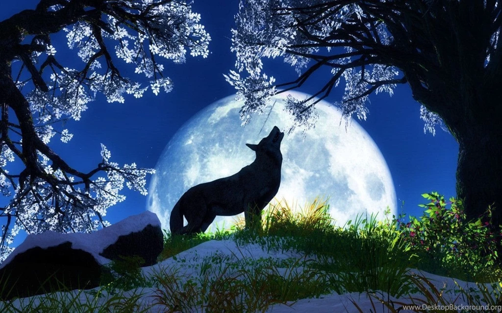 Animal Desktop Backgrounds