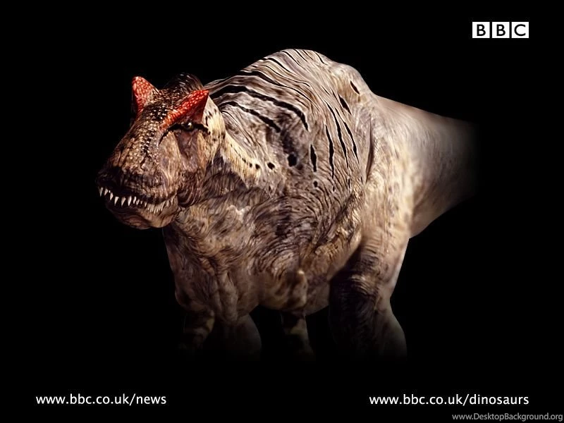 BBC News