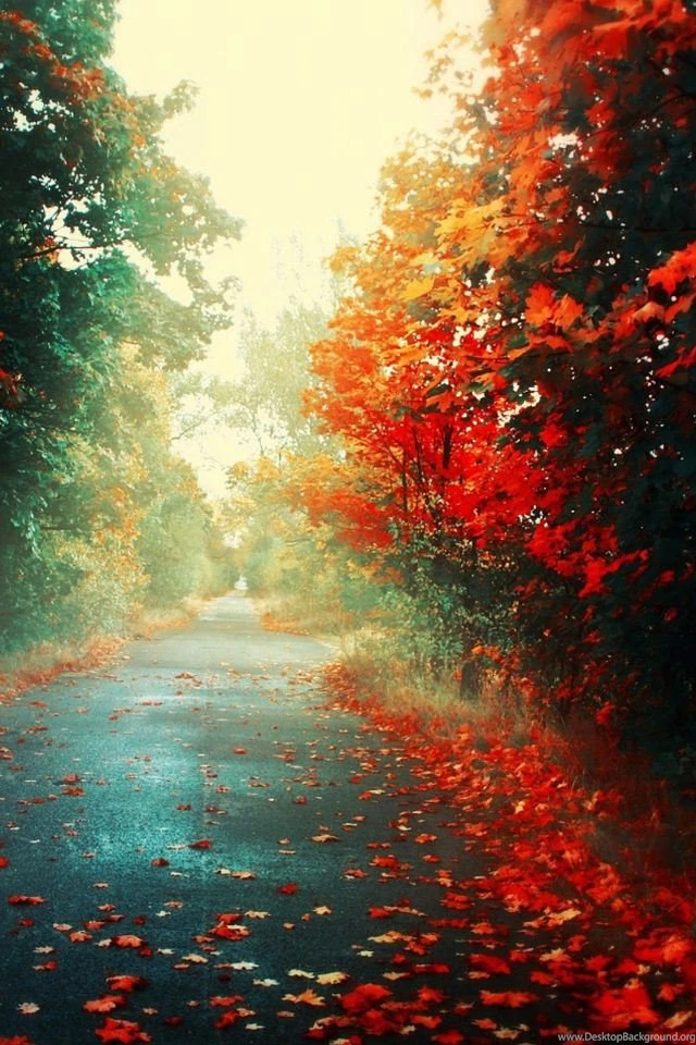 50 Stunning HD iPhone 6 Wallpapers