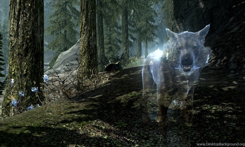 Skyrim Wallpapers   HD Wallpapers, Wallpapers HD, Wallpapers For Mobile