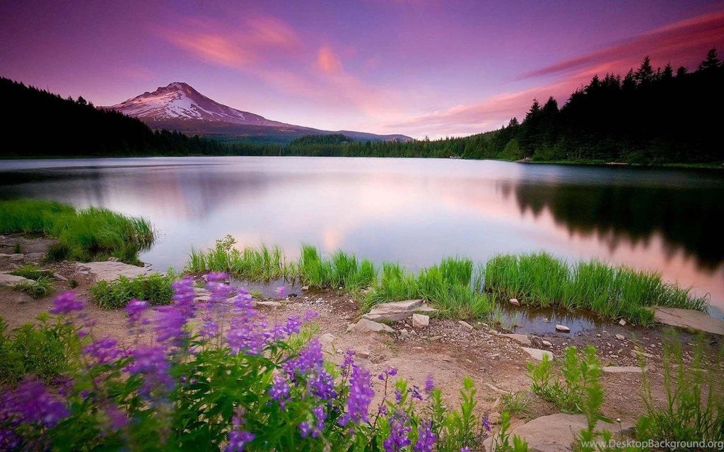 Nature HD Wallpapers Android Apps & Games On Brothersoft.com