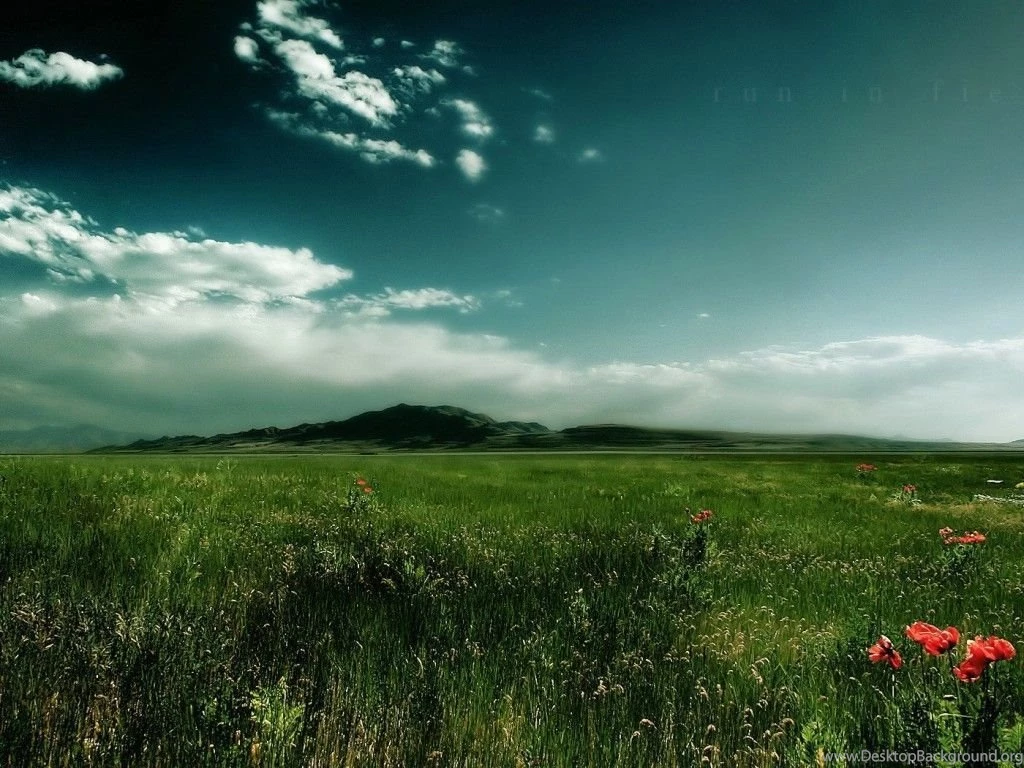 Amazing Nature Photography HD Wallpapers – HD Wallpapers Free ...