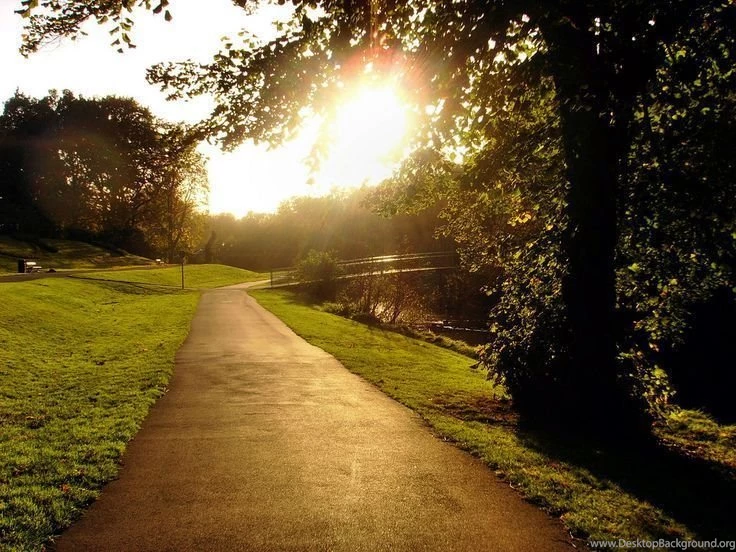 Nature Photography Hd Backgrounds Wallpapers 38 HD Wallpapers ...