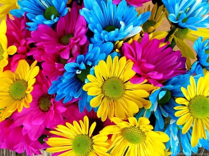Wallpapers PC HD: Full HD Flowers Wallpapers