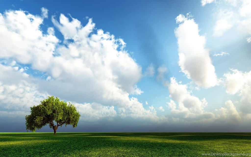 Tree Under Sky Desktop Wallpapers
