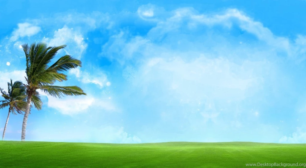 42 Windy Palm Sky Blue Best Image Hd Desktop Wallpapers For ...