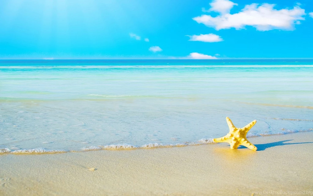 Summer Wallpapers Wallmanage.com