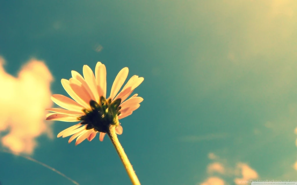 30 Attractive Tumblr Pictures