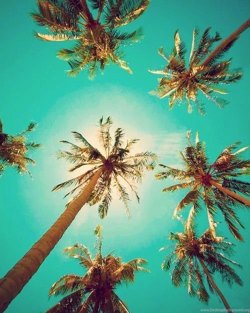 Tumblr Backgrounds Hipster Google Search