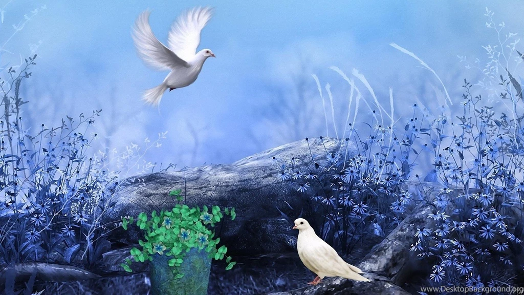 Doves Of Peace Wallpapers