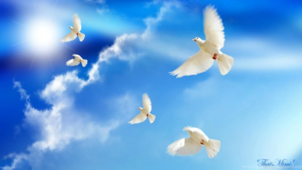 Peace Wallpapers >> Backgrounds With Quality HD