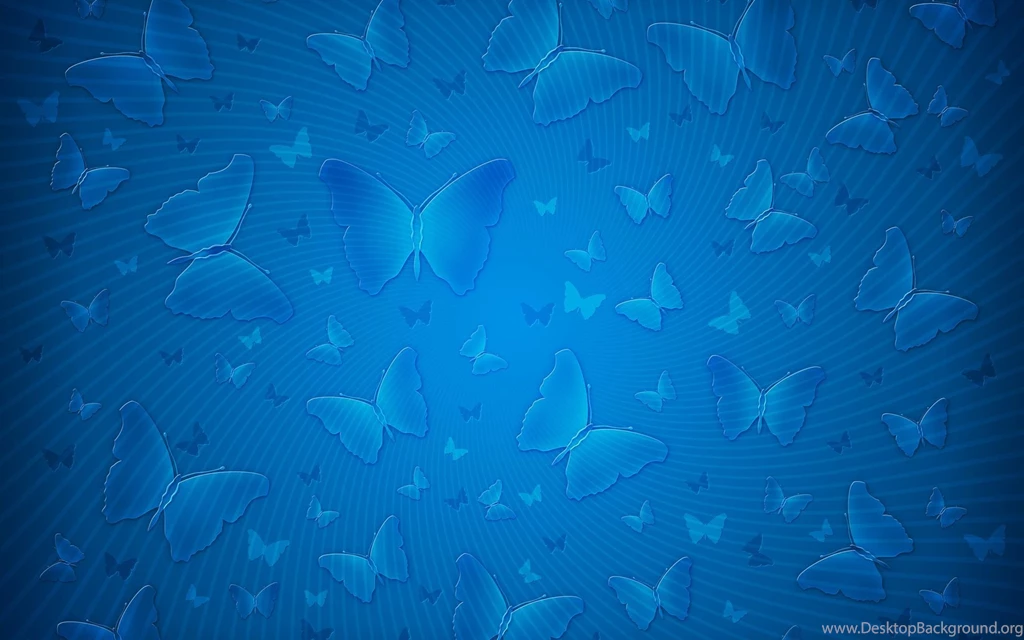 Blue Butterfly Plain Website Back