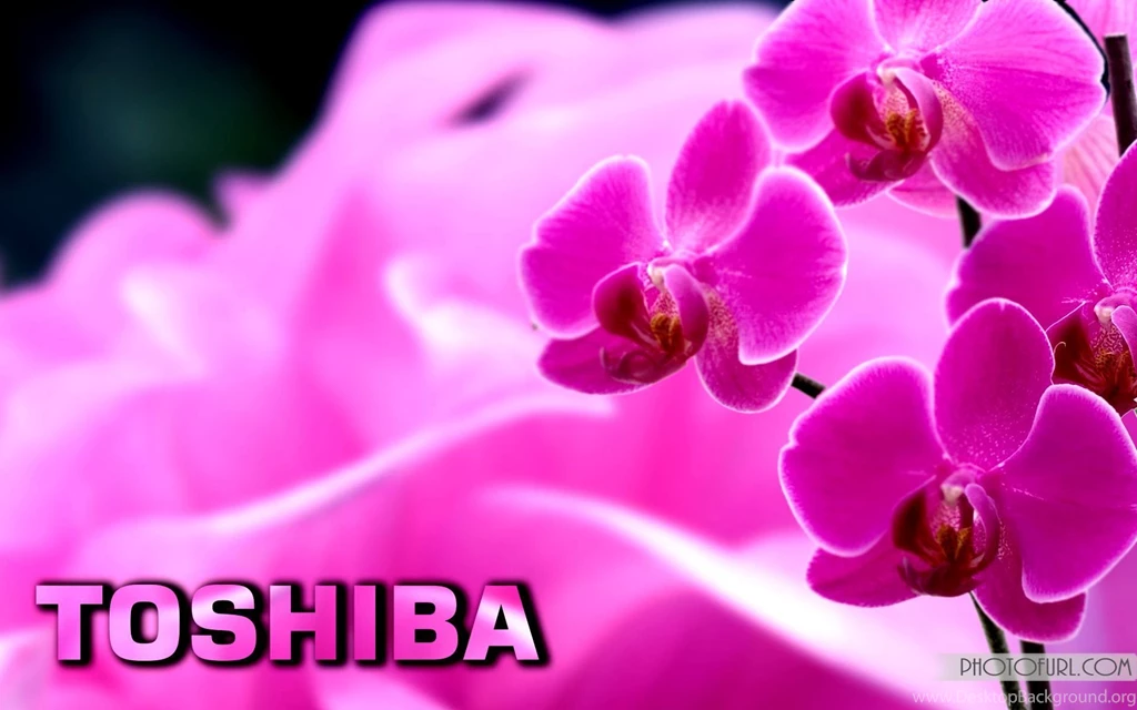Toshiba Wallpapers