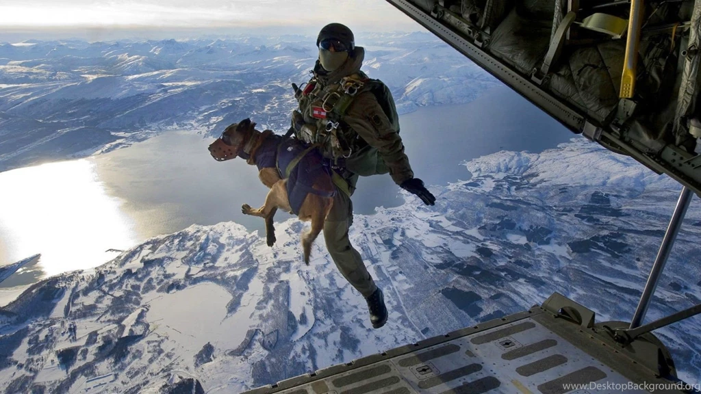 Skydiving Wallpapers 04