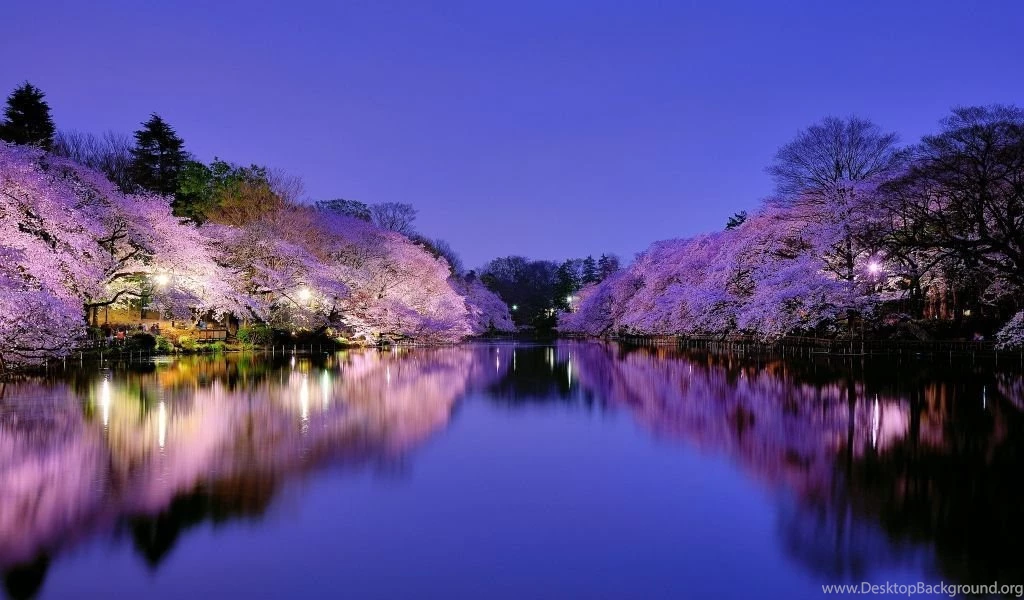 Download Wallpapers 1024x600 Japan, Osaka, City, Park, Lake, Light ...