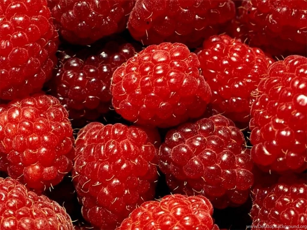 25 Best Fruit Wallpapers
