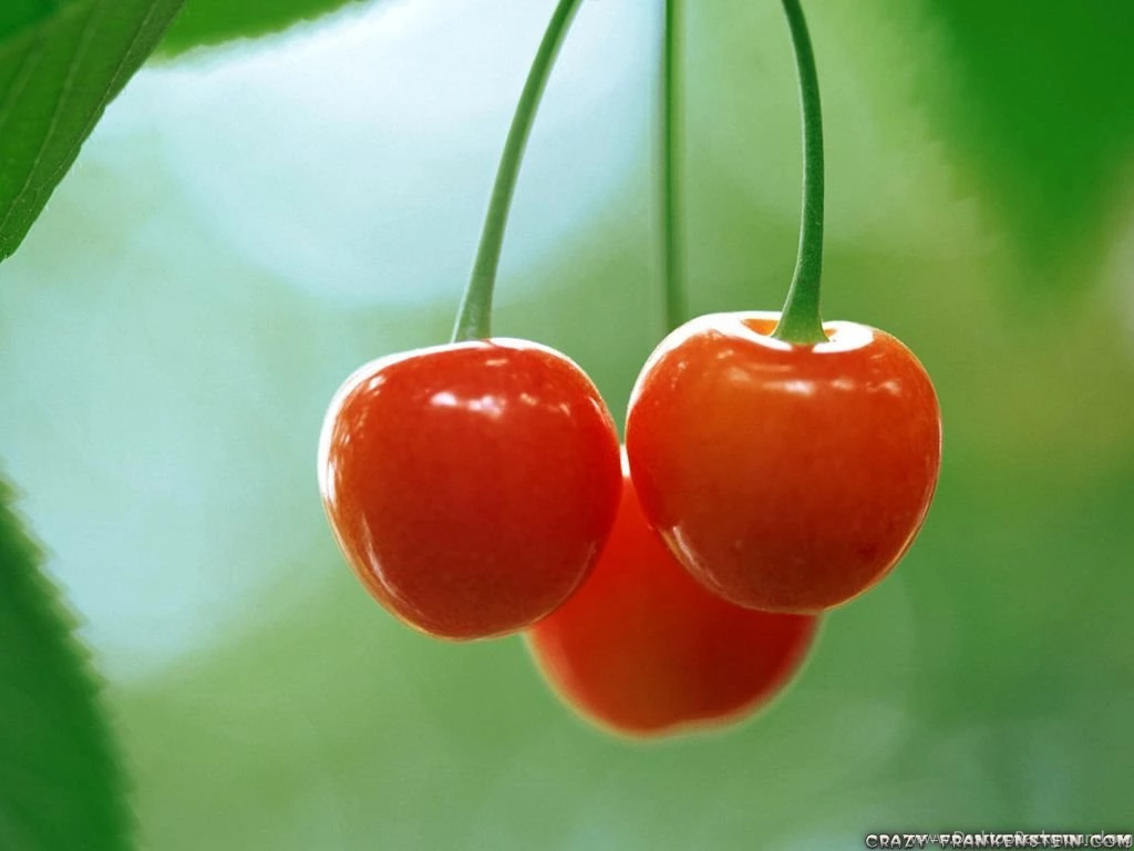Cherry Fruit Wallpapers Crazy Frankenstein