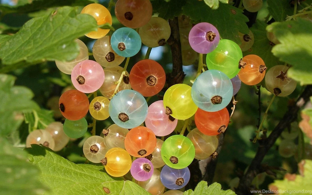 Food, Fruit Wallpaper, Bucket, Green, Leaves, Drop, Photo Hd Wallpapers