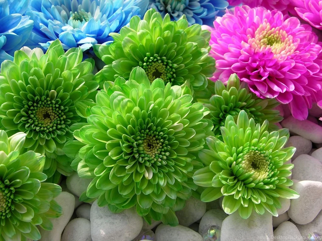Colorful Hd Backgrounds Wallpapers 208064