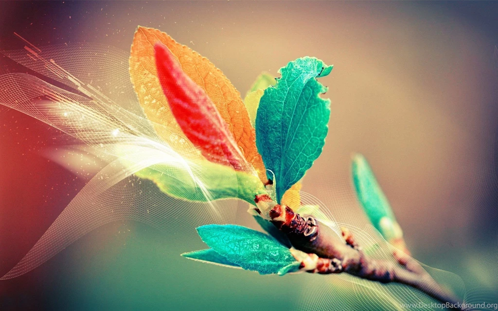 Top Colorful Leaves Wallpapers And Images For Pinterest