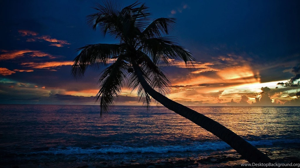 Wallpapers Beach At Night 10 Desktop Backgrounds Hdnaturewall.com
