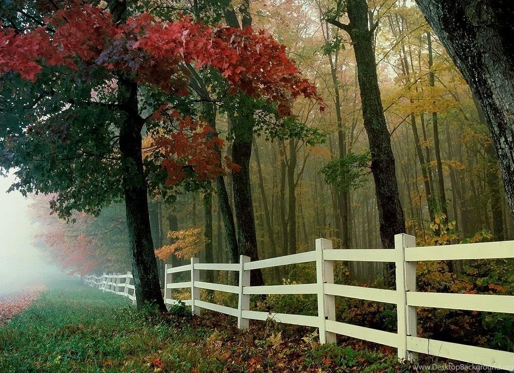 New Year Wallpapers Nature