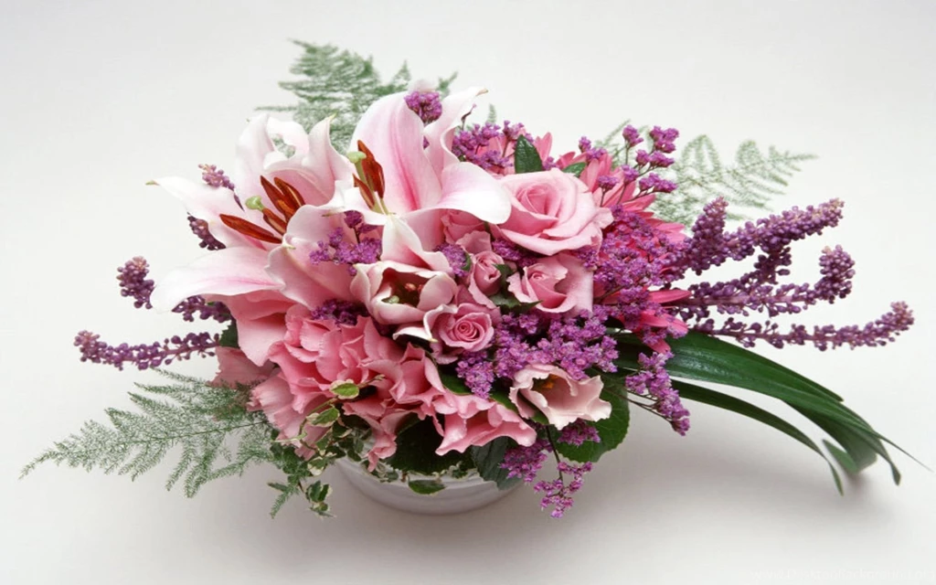 HD Beautiful Flowers Wallpapers