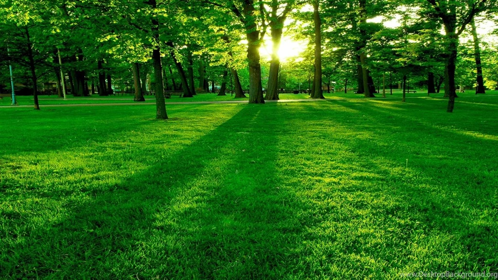 Beautiful Green Landscape