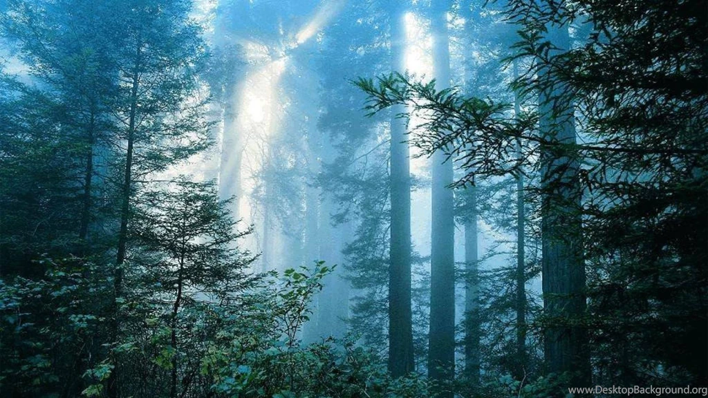 Nature Sun Tagme Wallpapers (