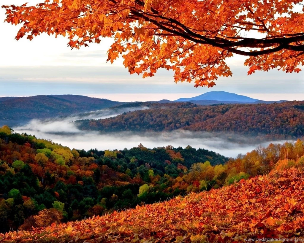 Top Autumn Wallpapers 1280x1024 Images For Pinterest