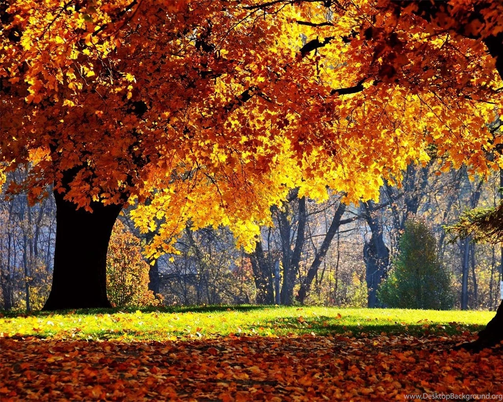 Top Autumn Wallpapers 1280x1024 Images For Pinterest