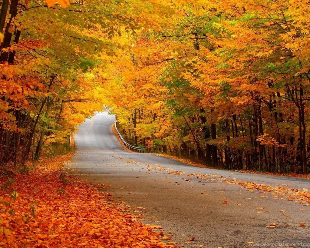 1280x1024 Autumn Forest Street Wallpapers