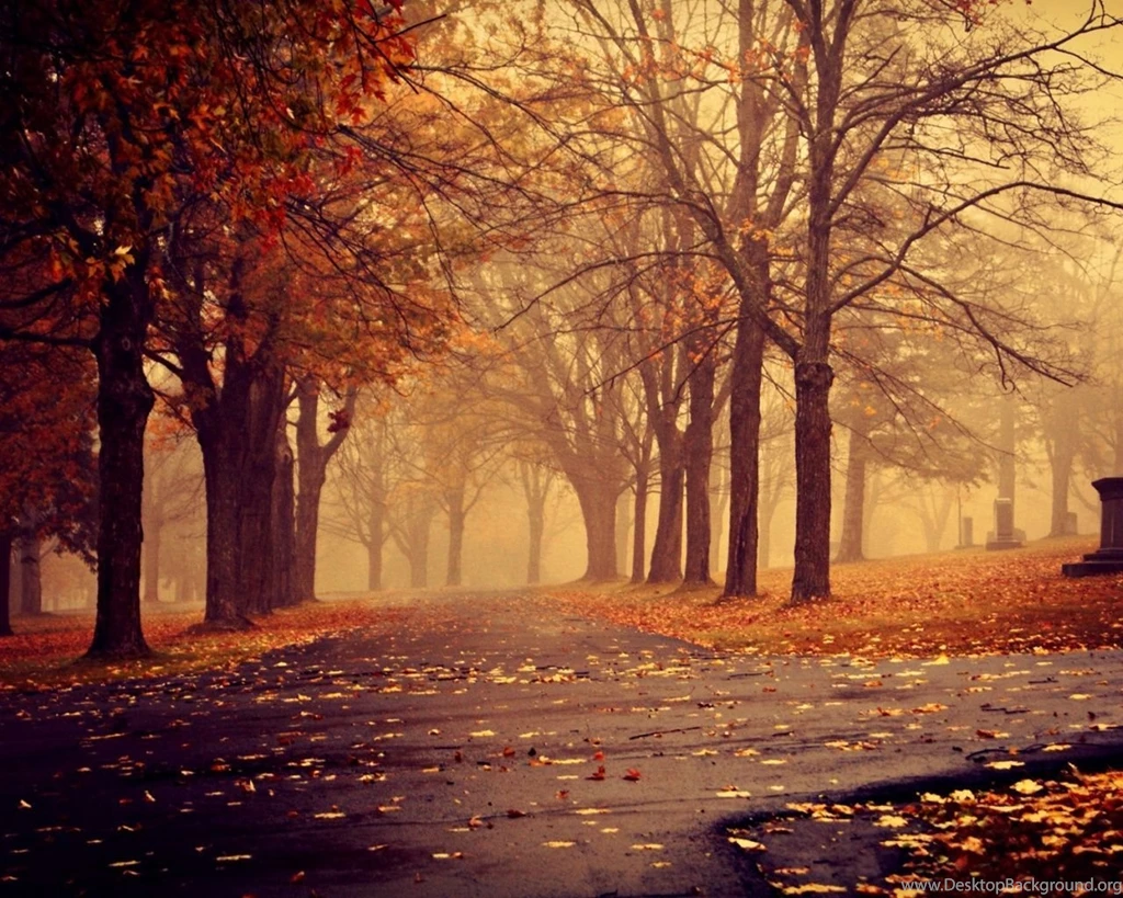 1280x1024 Park In Autumn Desktop PC And Mac Wallpapers