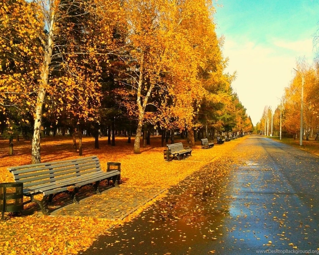 1280x1024 Sunny Autumn Day Desktop PC And Mac Wallpapers