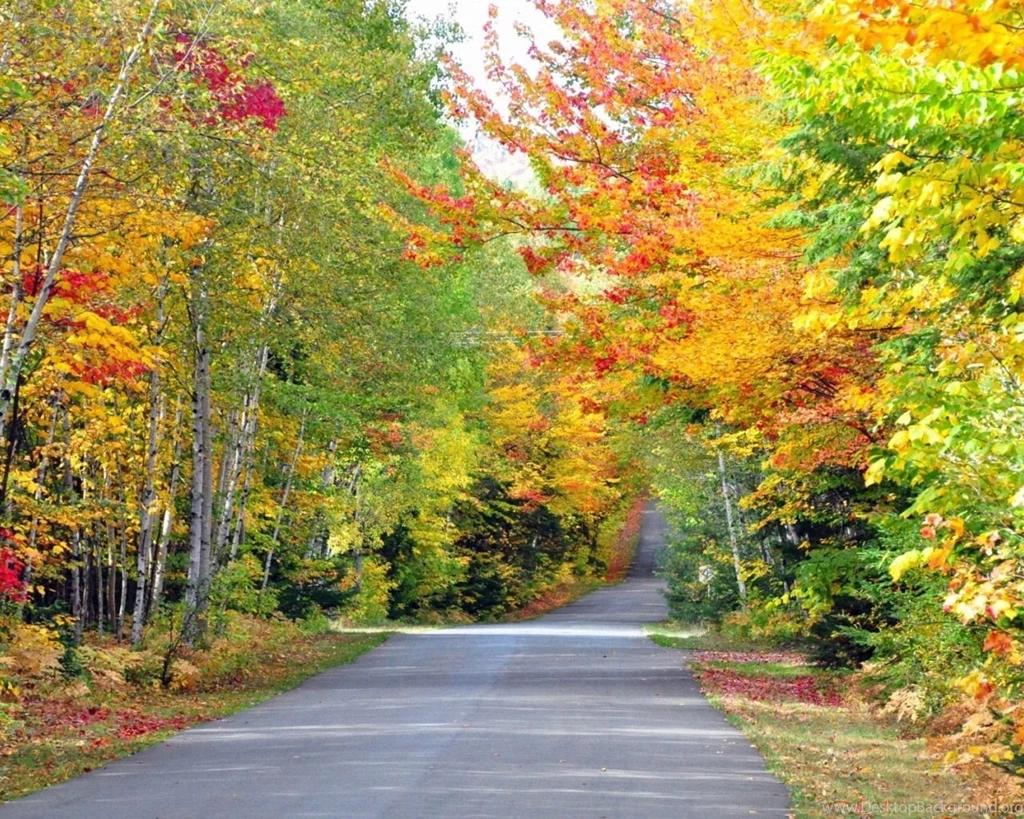 Autumn Colors Road Quebec Cana 1280x1024 Wallpapers, 1280x1024 ...