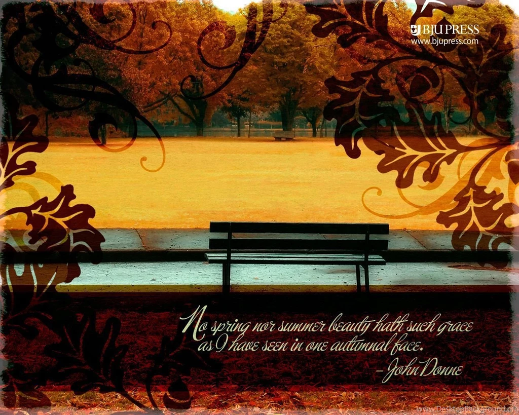 Autumn Wallpapers 49722