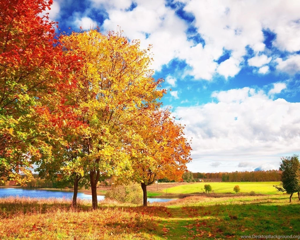 Page 5: 1280x1024 Autumn Wallpapers HD, Desktop Backgrounds ...