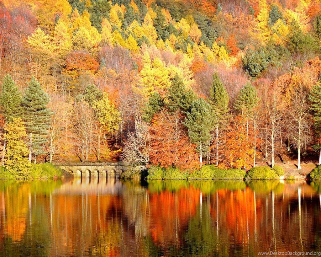 Golden Autumn Wallpaper Backgrounds 1280x1024 Hd Desktop Wallpaper