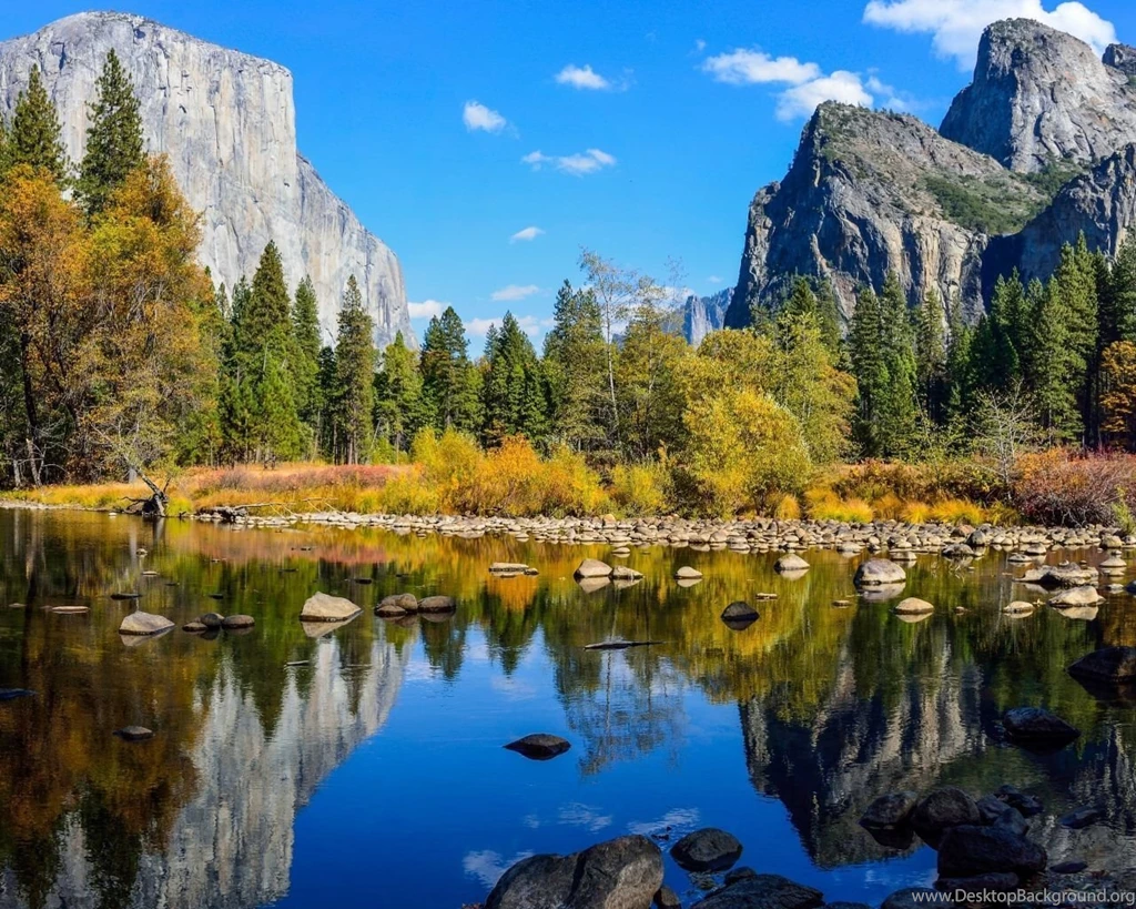 Download Wallpapers 1280x1024 Leaves, Maple, Blur, Autumn 1280x1024 ...