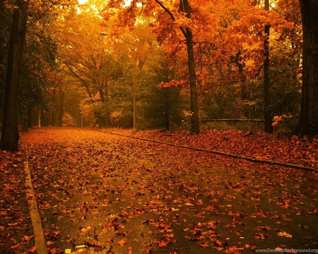 Autumn Wallpapers 1280x1024 Hd Desktop Wallpaper