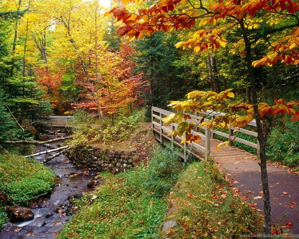 Fall Colors 1280x1024 Wallpapers, 1280x1024 Wallpapers & Pictures ...