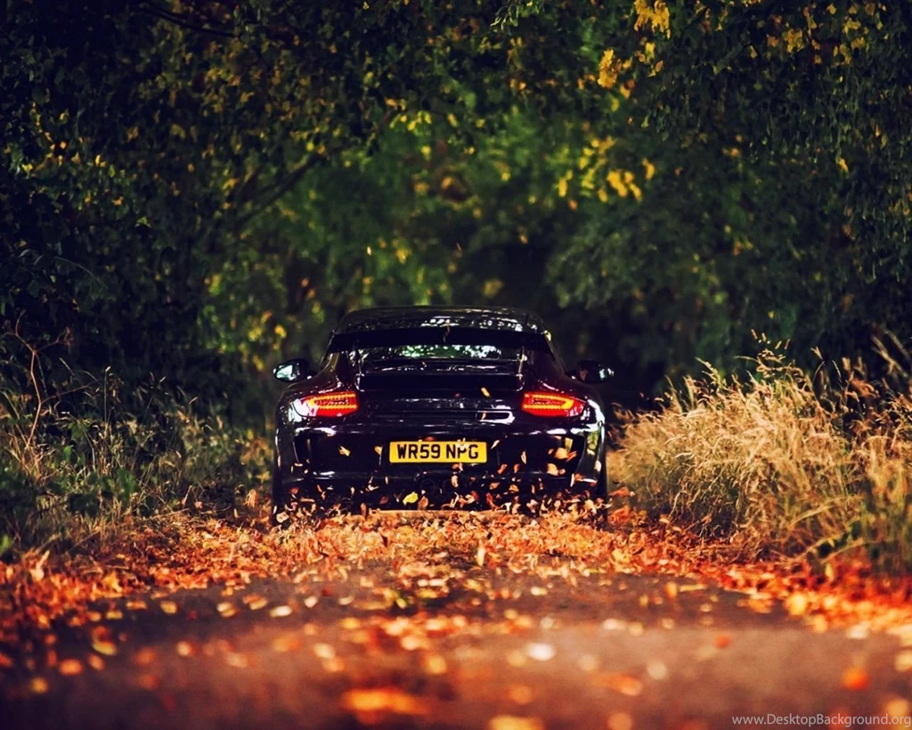 1280x1024 Porsche Autumn Road Wallpapers