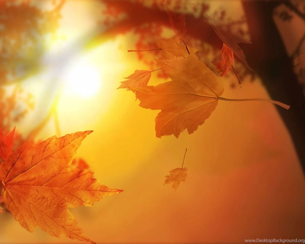 1280x1024 3D Autumn Desktop PC And Mac Wallpapers