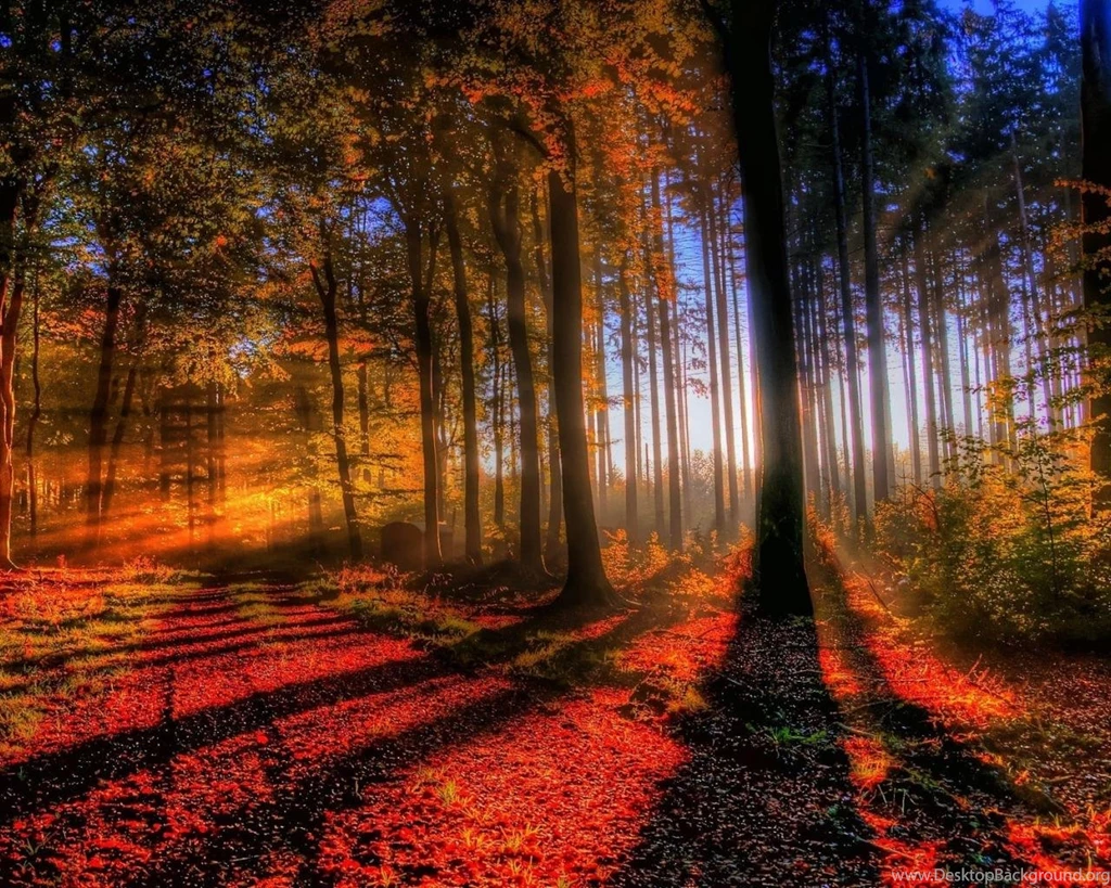 Colorful Autumn Scene Wallpapers 1920x1200   (