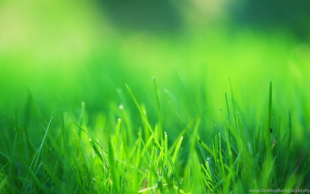 Desktop Screensaver HD Wallpapers Collection 8 Wallpapers Download