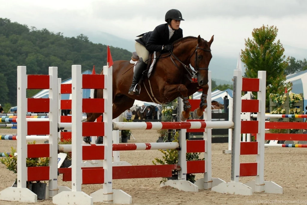 HD Animals Wallpapers: Brown Horse Jumping Wallpapers