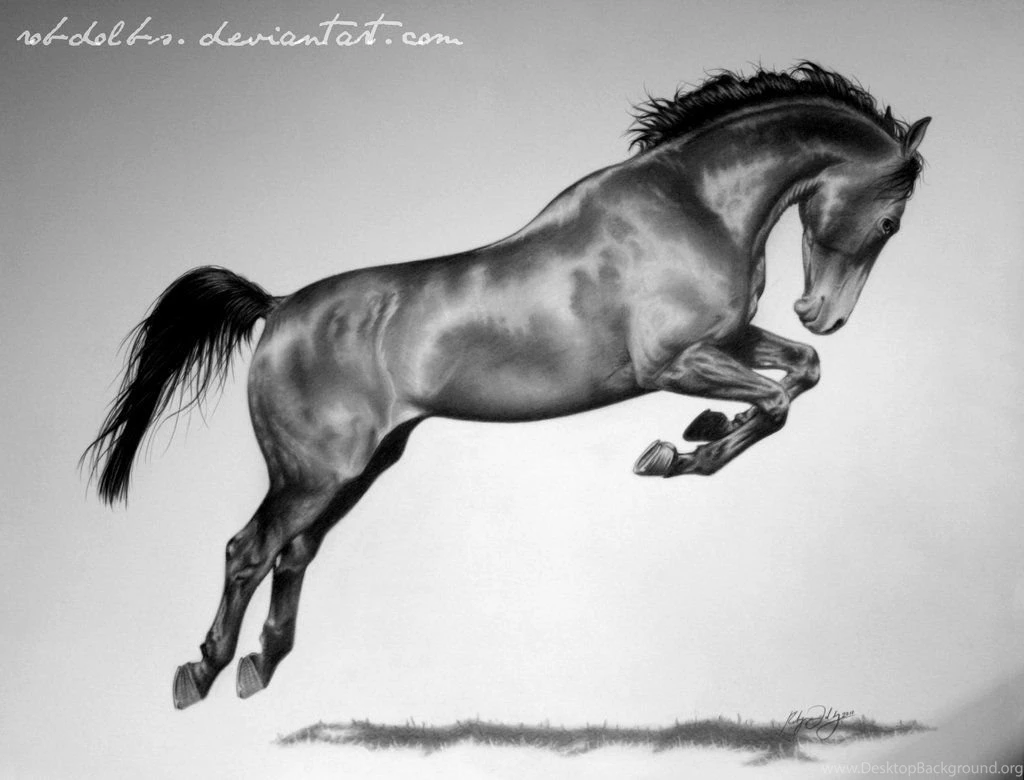 Top Horse Painting Wallpaper Images For Pinterest